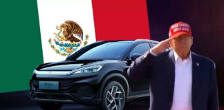 Trump Mexico