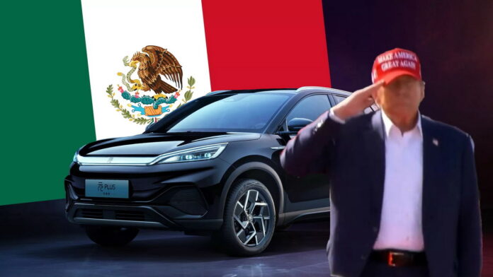 Trump Mexico_ Trump Mexico