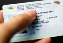 Чи можна отримати посвідчення водія в Україні без навчання в автошколі посвідчення водія