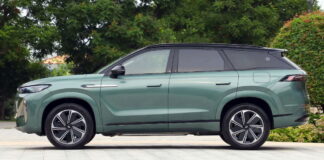 Chery Fulwin T10