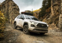 Названо ТОП-10 найпопулярніших авто світу у 2025 році Toyota RAV4