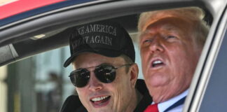 Trump Musk Tesla