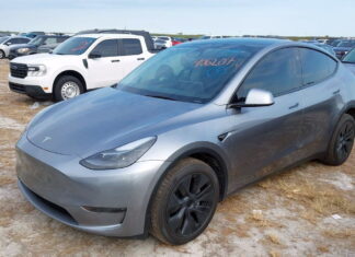 В Україні збільшились продажі вживаних авто з США: ТОП-5 бестселерів Tesla Model Y