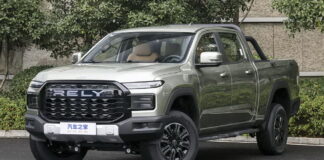 Chery Rely