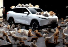 Котячий тест: новий кросовер від Chery дебютував у дивний спосіб, оголошено ціни OMODA-7_Noise-Reducing-Glass